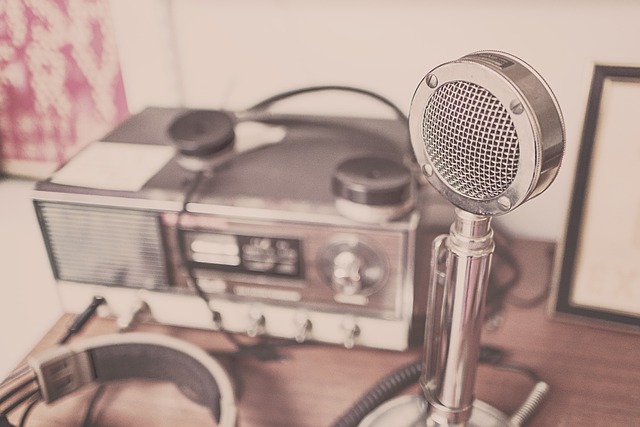 voice