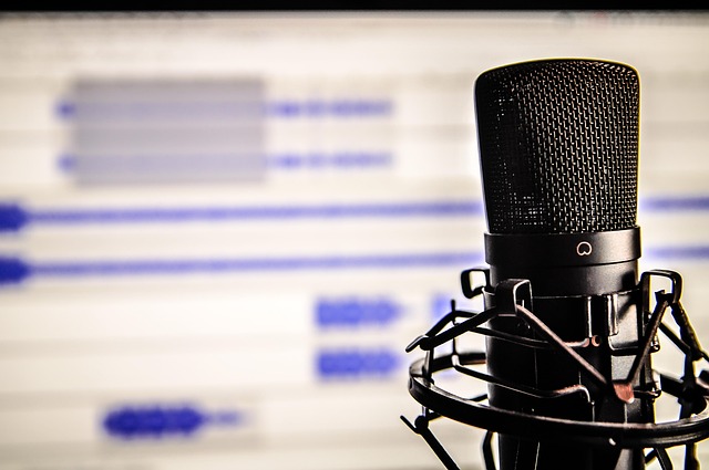 voice