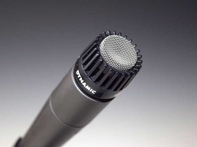 voice